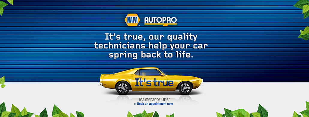 NAPA Special | A Plus Automotive